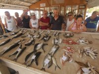 Özdere'de balıklar açık arttırma ile satılıyor