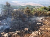Piknik yaparken ormanı yaktılar...