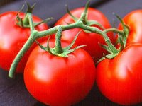 Prostat kanserinin ilacı domates