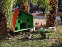 Sahipsiz hayvanlara, soğuk havada sıcak yuva 