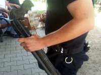 Sakaryaspor taraftarlarında pompalı tüfek!..