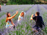 Sakin Şehir'de Lavanta Şenliği