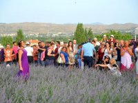 Sakin şehirde mis kokulu festival