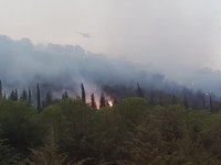 Karşıyaka'da Orman Yangını...