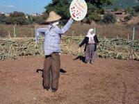 Seferihisar Belediyesi ''Yerel tohumu yaşatıyor''