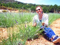 Seferihisar, ''Lavanta Şenliği''ne hazırlanıyor