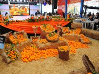 Seferihisar Turuncu Bayramı coşkuyla kutladı