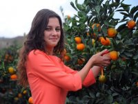 Seferihisar'da mandalina şenliği