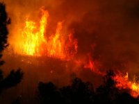 Seferihisar'daki yangın devam ediyor