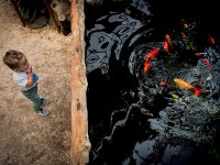 ''Sizin Gözünüzden Doğal Yaşam'' yarışması sonuçlandı