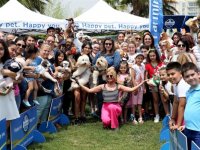 Sokak hayvanları yararına Pati Festivali