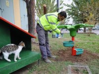Sokak hayvanlarına sıcak yuva