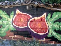 Sokak Sanatı-Graffiti Bornova duvarlarında