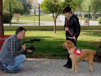 Sokakta bulunan Rüzgâr’ın hayatı belgesel oldu