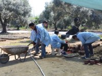 Tarımsal üretim engel tanımıyor