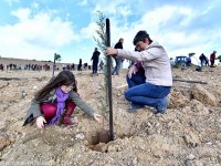 Taş ocağıydı, orman olacak