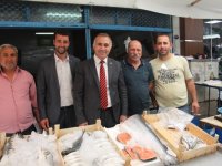 Taşkın Işık: Kuş gribi çıkardılar, köye tavuk satıyorlar