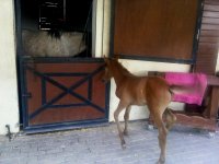 Tay Park ailesi büyüyor