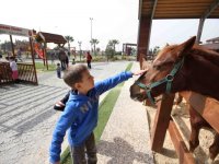 Tay Park baharla canlandı...