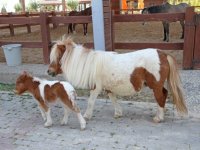 Tay Park’ta doğum sevinci