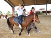 Tay Park'taki atla terapi umut oldu...