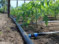 Toprağa su, çiftçiye nefes