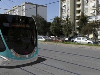 Tramvay için ağaçlar taşınacak