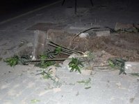 Tramvay için gece yarısı ağaçları kestiler...