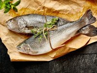 Türk su ürünleri Türkmenistan'da görücüye çıkacak