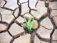 Türkiye çölleşiyor