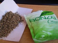 Türkiye'de ''Bonzai'' kullanımı artıyor