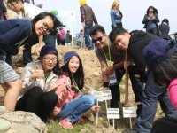 Türkiye’de dikili ağaçları var