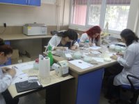 Türkiye’nin ilk ve tek Tohum Teknolojisi Merkezi Ege’de 