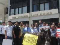 ULAŞIM DÜZENLEMESİNE EŞEKLİ PROTESTO