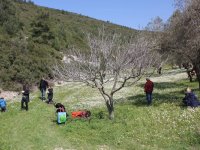 Urla Ot Festivali için geri sayım başladı