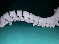 Uzaya çıkan 3D Printer bilimsel araştırmaların gözbebeği