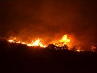 Karşıyaka'da orman yangını...