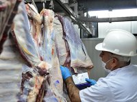 Yarımada’nın imdadına ''mobil mezbaha'' yetişti