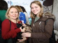 Yavru kediler yeni yuvalarına kavuştu