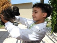 Yeni ailelerine kavuştular...