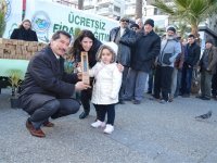 Yeni yıla fidan dikerek girecekler