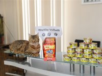 Yeni yıla sahipsiz dostlar da mutlu girecek