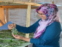 Yeniden ''ipek'' dönemi