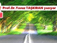 Yoldan kısa hikayeler (1) 