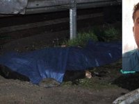 Yön tabelasına çarpan 2 kardeş öldü