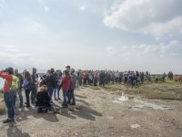 Yüzlerce İzmirli flamingoların dansını izledi