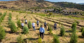 Karşıyaka’ya 32 futbol sahası büyüklüğünde orman