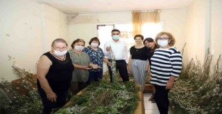 Menderes Belediyesi’nden kadın üreticilere destek