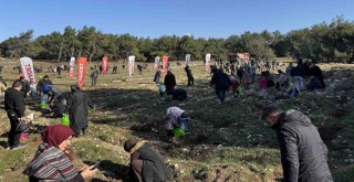Saadet Partisi İzmir'den fidan dikim etkinliği