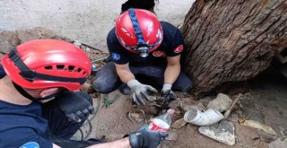 İzmir İtfaiyesi havalandırma bacasına sıkışan kediyi kurtardı